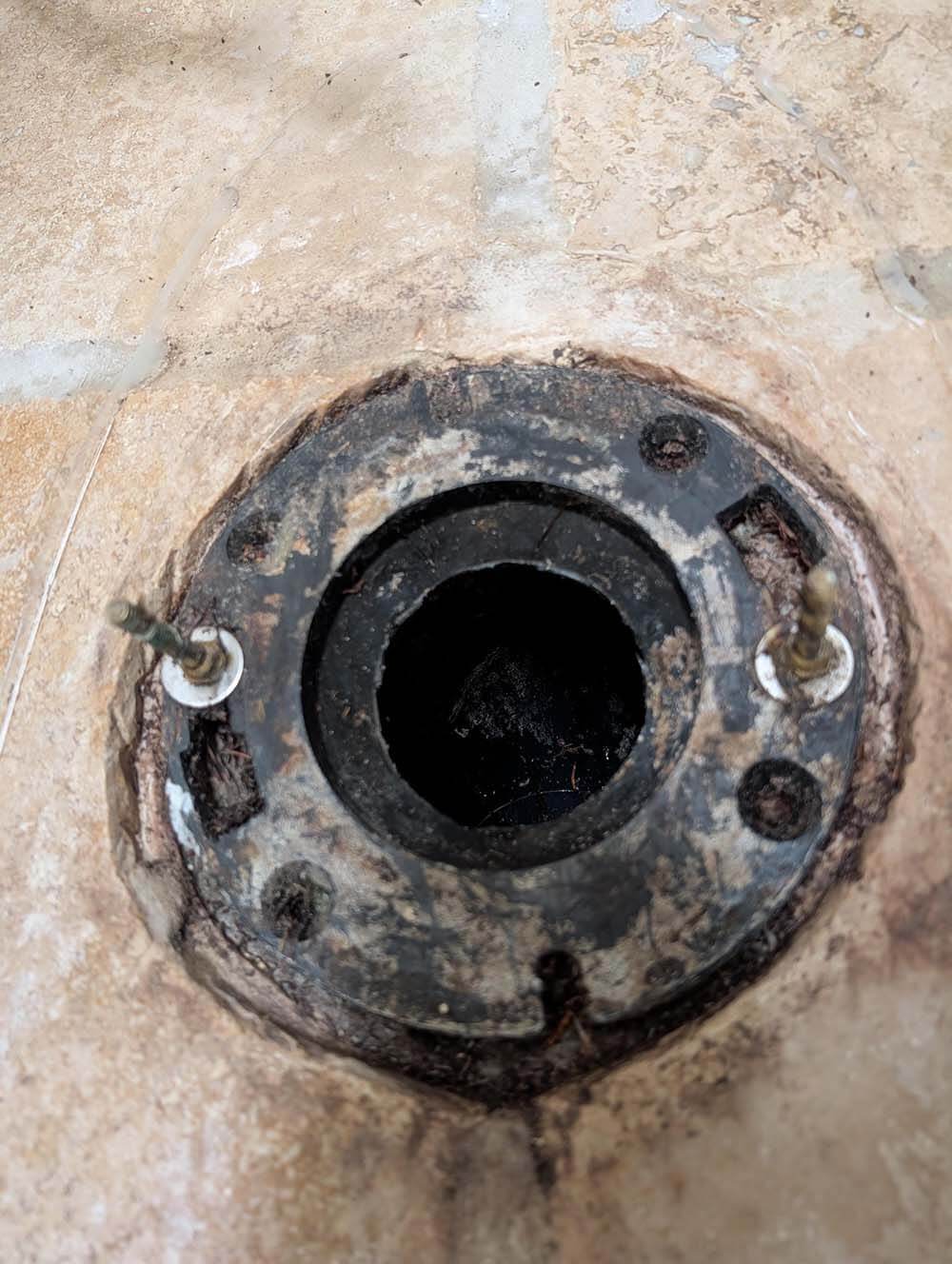 Shower drain cleaned and flowing freely