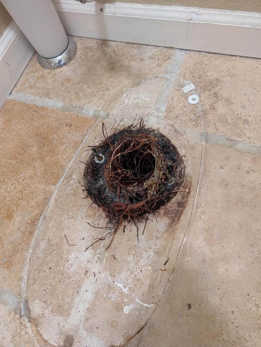 Shower drain blocked with hair and debris