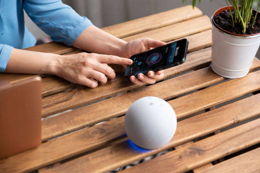 Leak Detection by Google Assistant